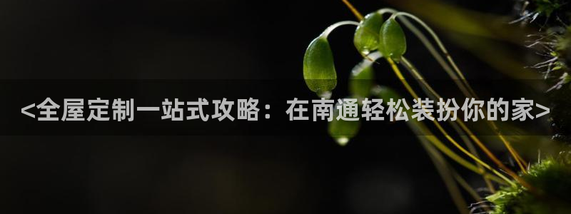 bB电子琴和弦