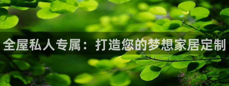 bb电子怎么英语怎么说