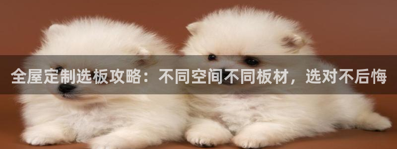 bb电子怎么赢