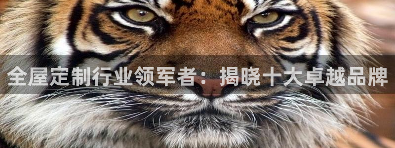 bb电子哪个平台好啊
