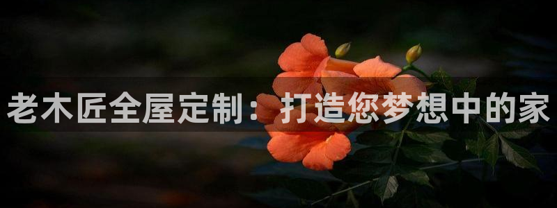bb电子怎么样