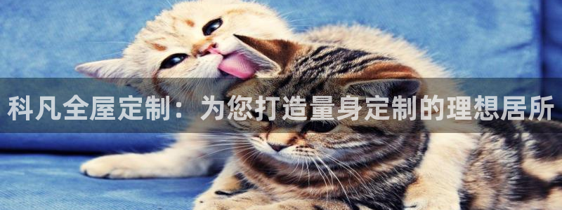 bb电子官网