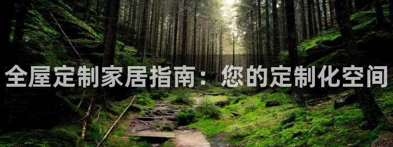 bb电子哪个平台好用一点