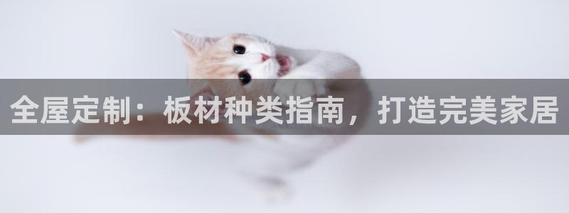xbb电子游艺