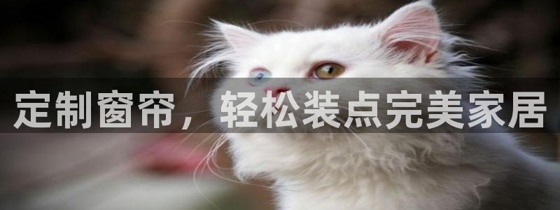 BB电子麻将胡了