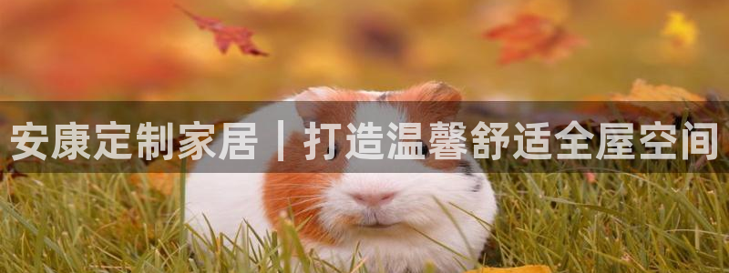 bb电子什么游戏好赢