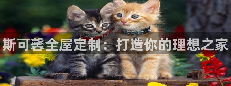 网上bb电子为什么那么假