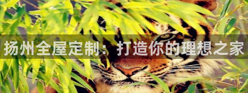 BB电子游戏钱得钱