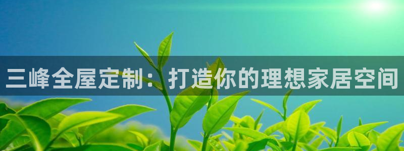 bb电子哪个平台好一点