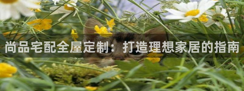 bb电子mini彩金