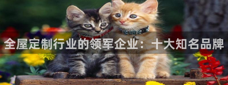bb电子哪个平台好一点