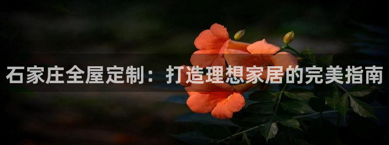 BB电子骗局