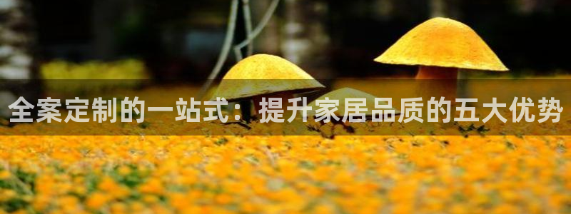 BB电子锁怎么接电