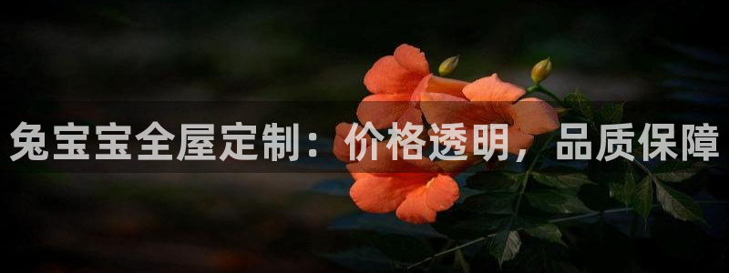 bb电子官网登录