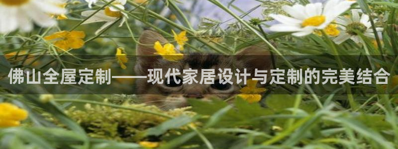 bb电子掉彩金