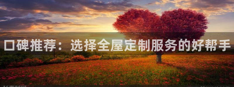 bb电子哪个平台好一点
