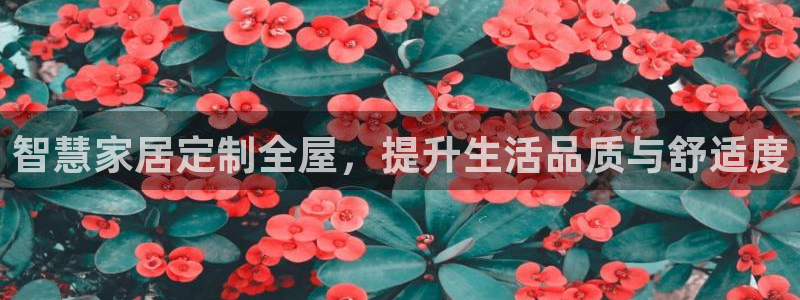 bb电子哪个平台好啊