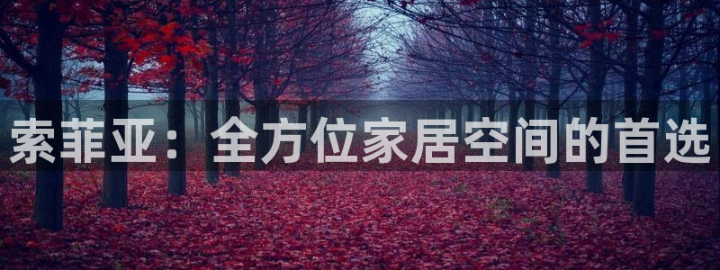 bb电子哪个平台好出款啊