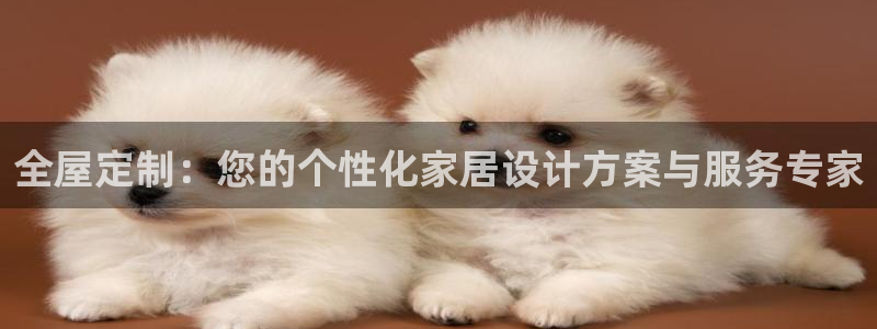 bb电子哪个平台好啊