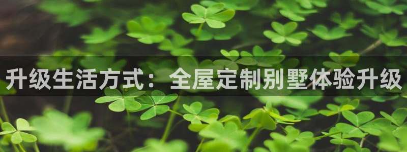 bb电子怎么英语怎么说