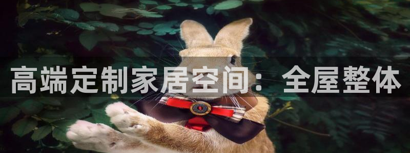 bb电子哪个平台好用