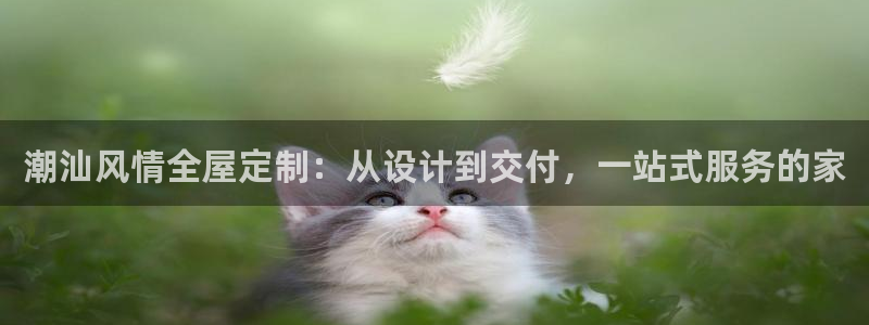 bb电子哪个平台好啊