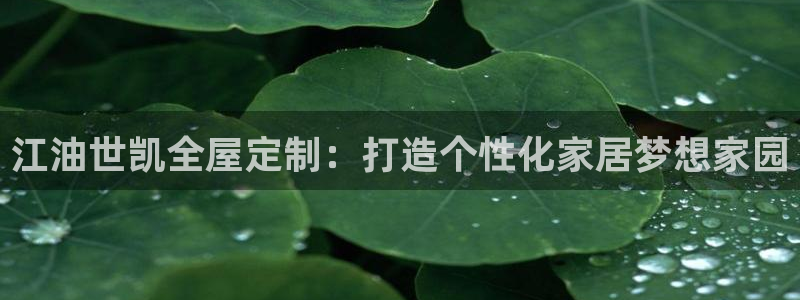 bb电子哪个平台好用