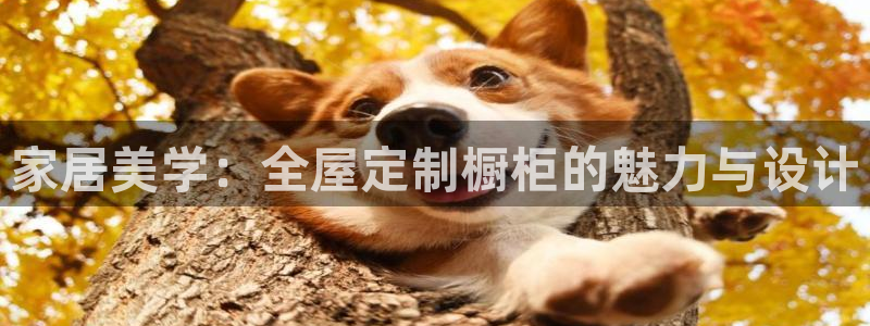 bb电子中了Major怎么算