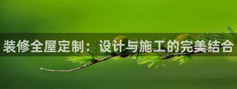 bb电子哪个平台好用点