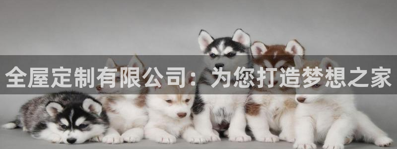 bb电子哪个平台好些