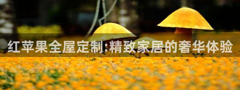 bb电子中了Major怎么算