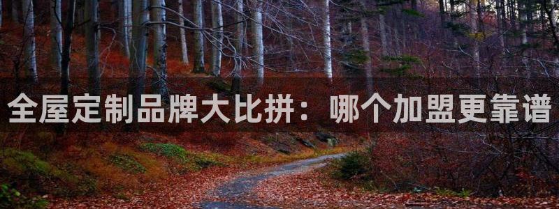 bb电子哪个平台好