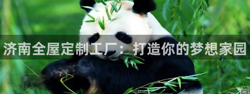 bb电子哪个平台好用一点