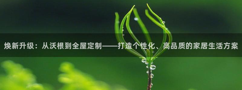 bb电子中了Major怎么算