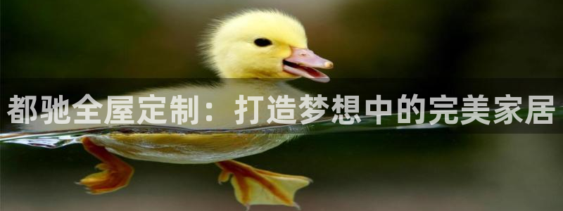 BB电子哪个平台好出款