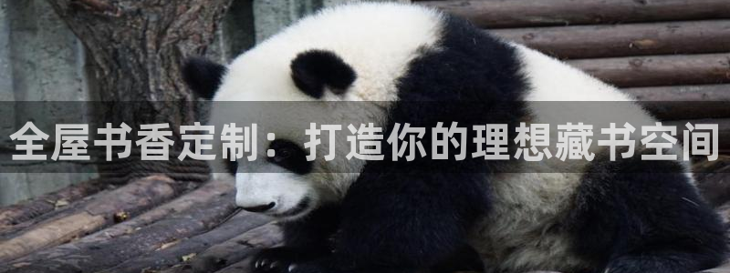 bb电子哪个平台好啊