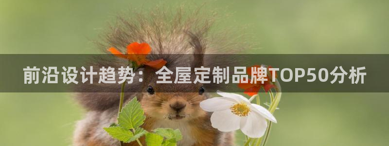 Bb电子琴和弦是哪个