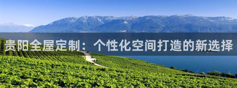 bb电子怎么英语怎么说