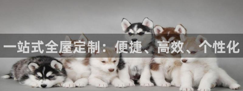 bb电子怎么英语怎么说