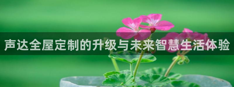 bb电子哪个平台好啊