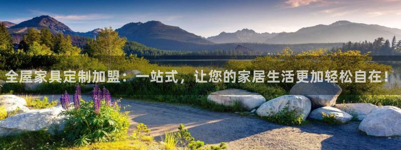 bb电子哪个平台好啊