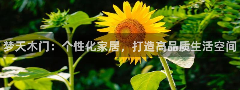 BB电子怪物派对