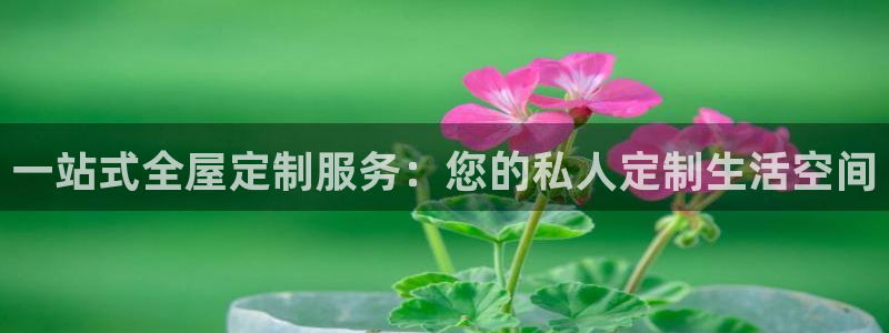 bb电子怎么英语怎么说