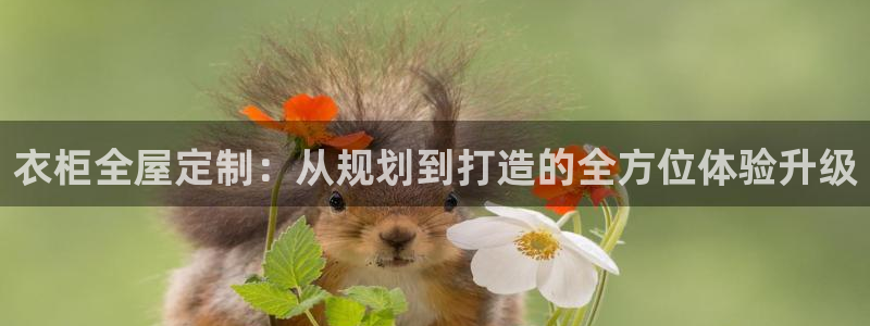 bb电子最简单设置方法